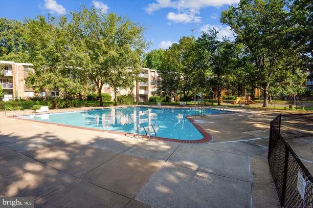 a park view with large trees