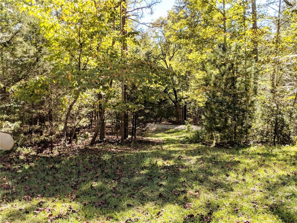 286 Brown Bottom Road Central, SC 29630 - Photo 38 of 50