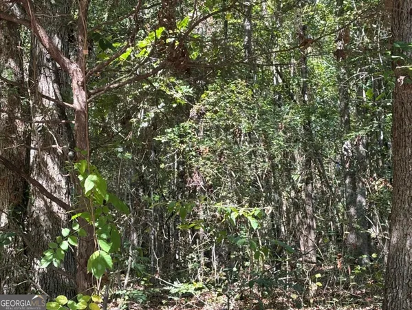 a view of a tree