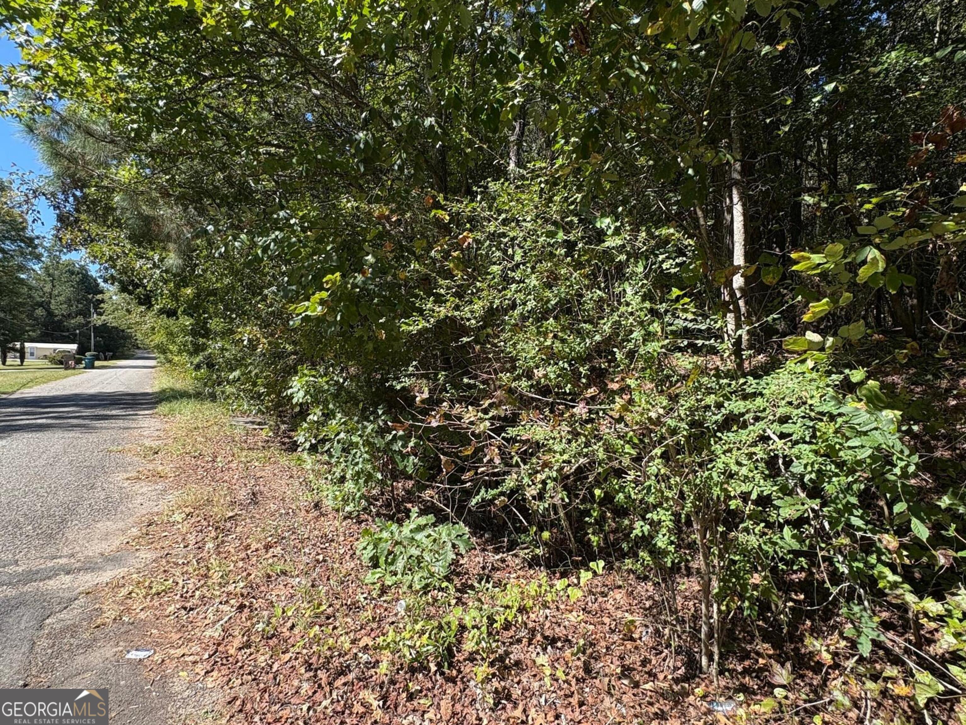 0 Old Greensboro Rd Union Point Union Point, GA 30669 - Photo 3 of 6 a view of yard with green space