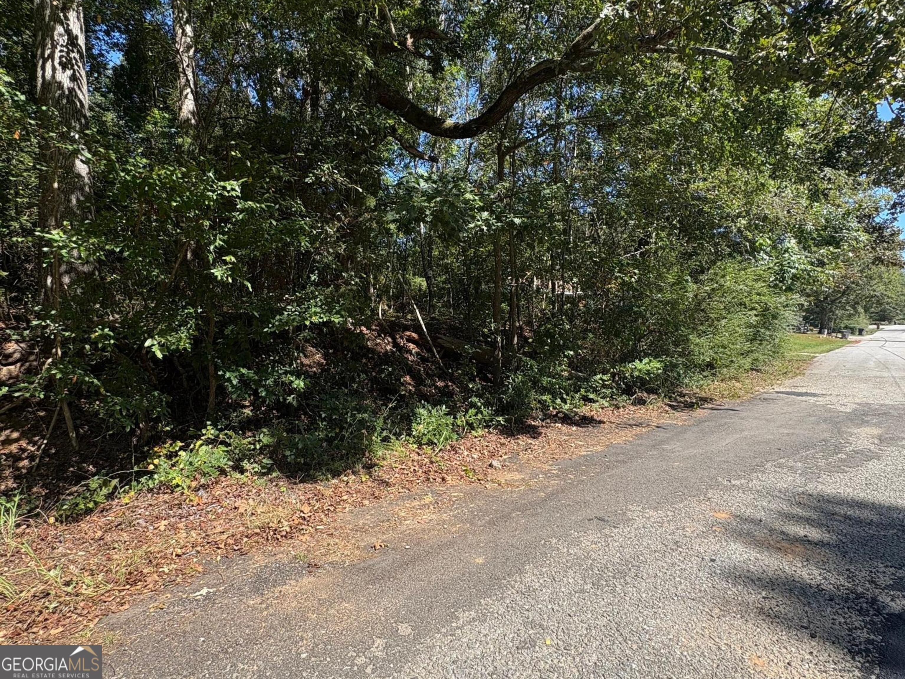 0 Old Greensboro Rd Union Point Union Point, GA 30669 - Photo 4 of 6 a view of a road with plants and trees