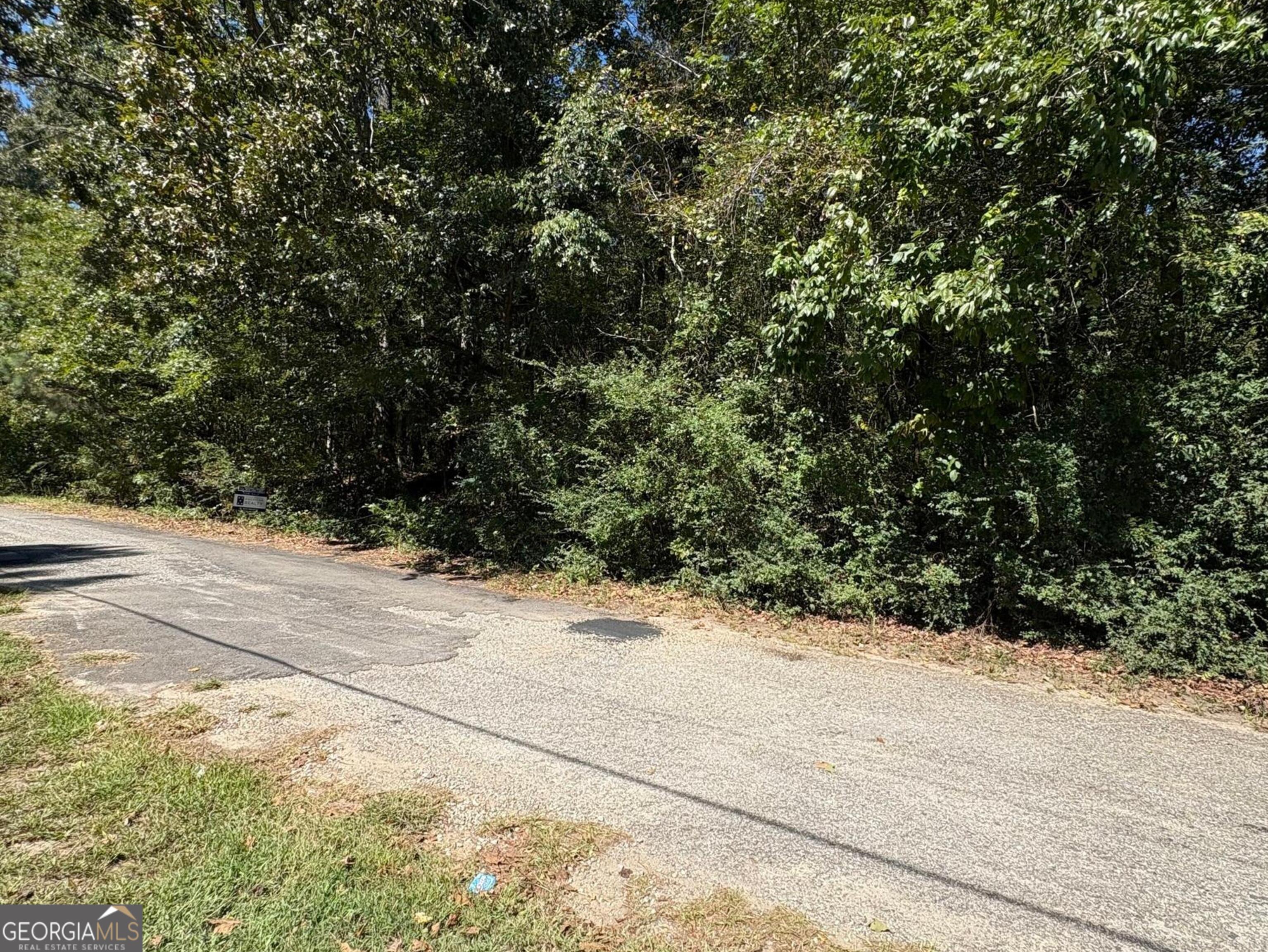 0 Old Greensboro Rd Union Point Union Point, GA 30669 - Photo 5 of 6 a view of a yard with plants and trees