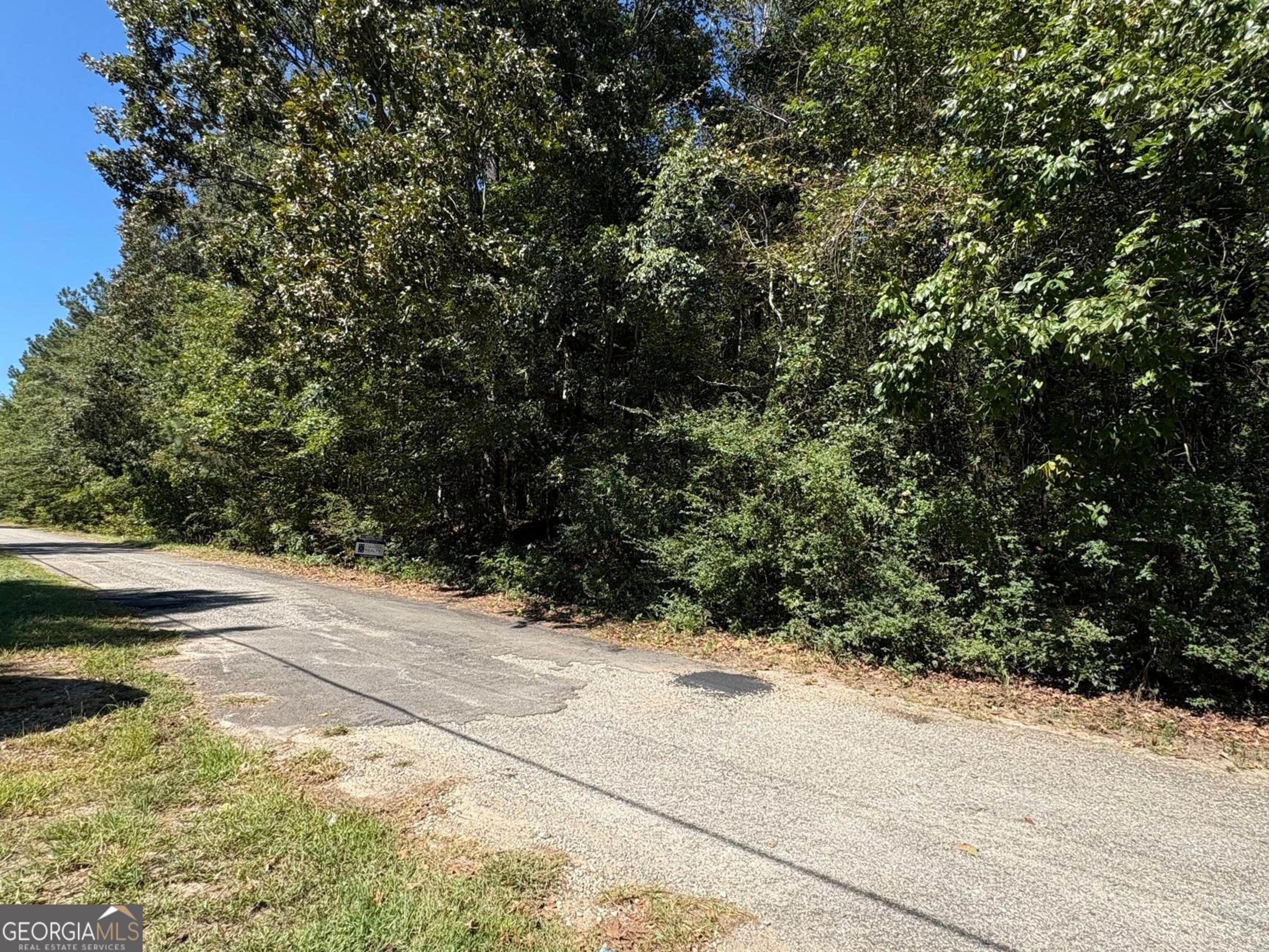 0 Old Greensboro Rd Union Point Union Point, GA 30669 - Photo 6 of 6 a view of a lake view