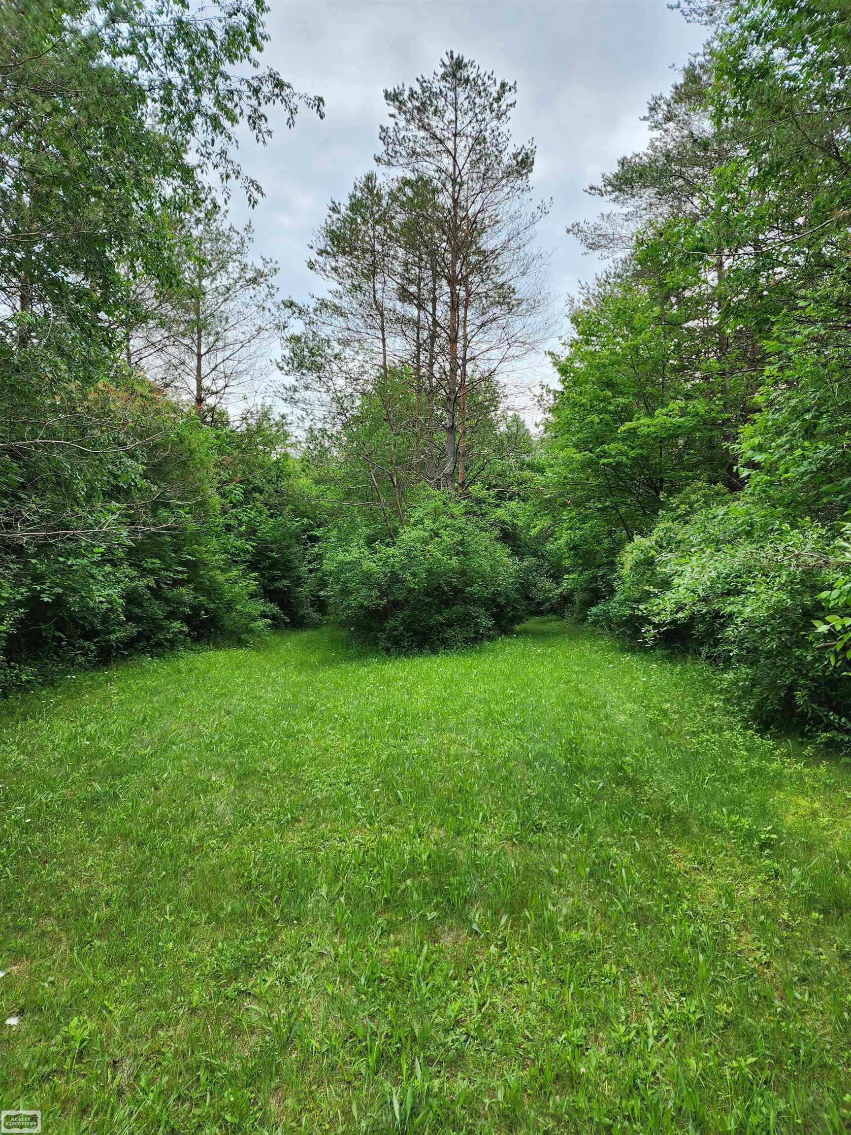 3734 Breen Road Emmett, MI 48022 - Photo 7 of 25 Gallery Image 7