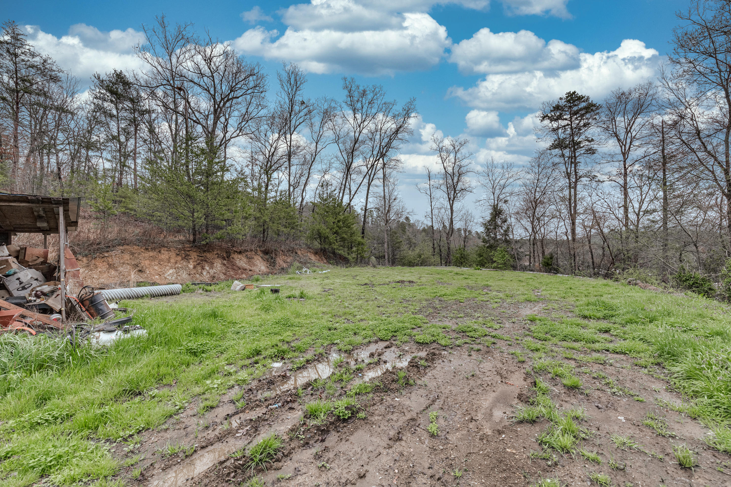 2208 Little Valley Road Sevierville, TN 37862 - Photo 3 of 7 clearing view