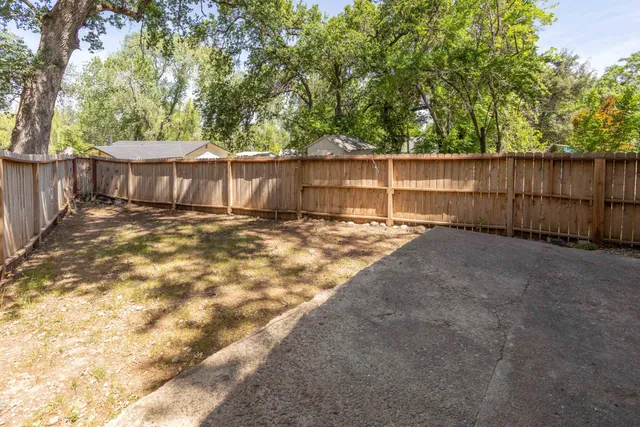 a view of backyard and tree