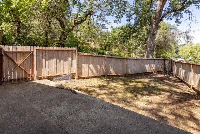 a view of a backyard