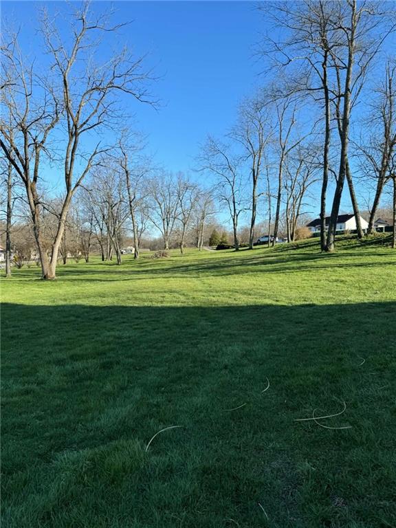 30 Summit Street Clarksville, PA 15322 - Photo 19 of 20 a grassy field with trees in the background
