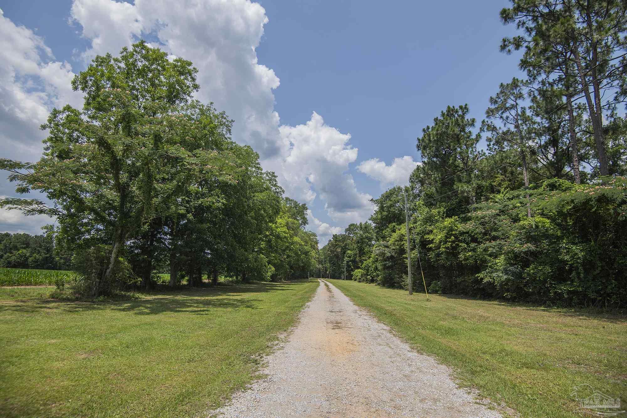 8501 Highway 97 Walnut Hill, FL 32568 - Photo 52 of 55