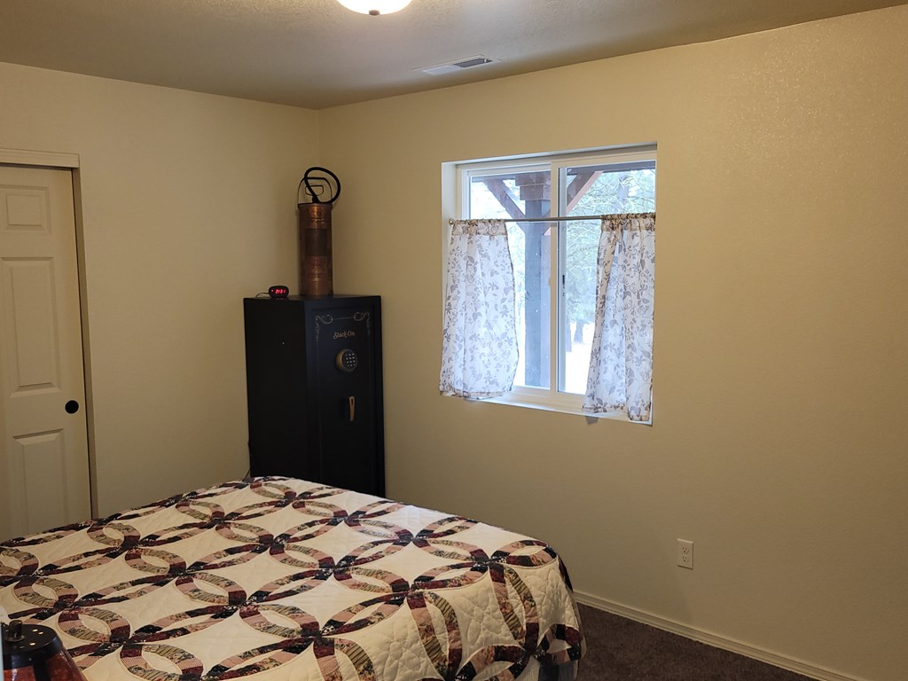 160 Pine Valley Drive Cascade, ID 83611 - Photo 19 of 43