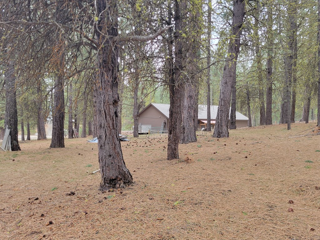 160 Pine Valley Drive Cascade, ID 83611 - Photo 26 of 43 Shade trees