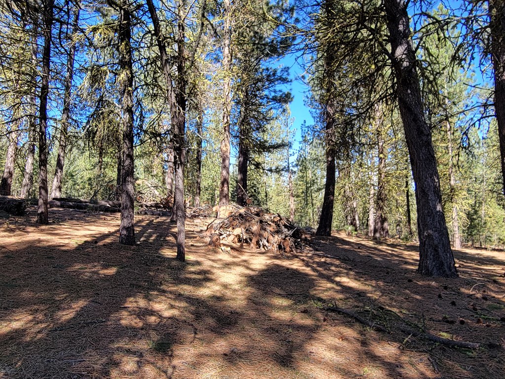 160 Pine Valley Drive Cascade, ID 83611 - Photo 28 of 43