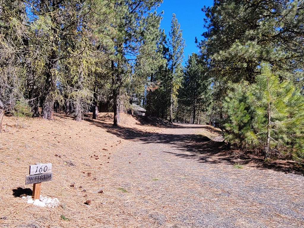 160 Pine Valley Drive Cascade, ID 83611 - Photo 33 of 43
