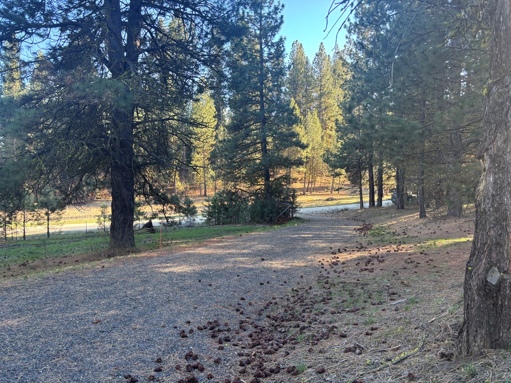160 Pine Valley Drive Cascade, ID 83611 - Photo 37 of 43