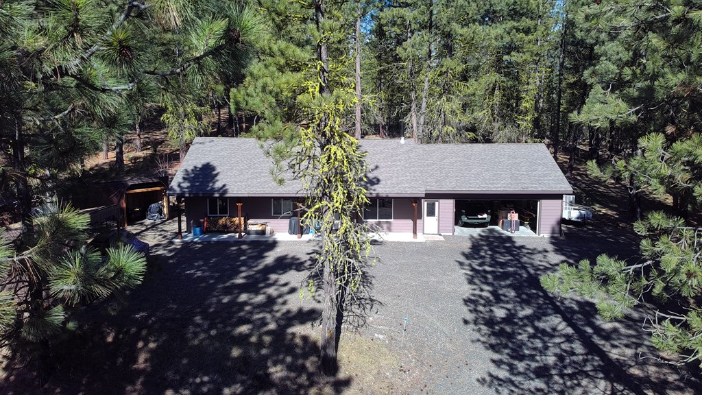 160 Pine Valley Drive Cascade, ID 83611 - Photo 4 of 43 Shade trees
