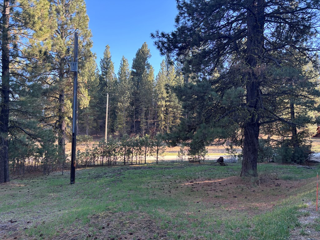 160 Pine Valley Drive Cascade, ID 83611 - Photo 42 of 43