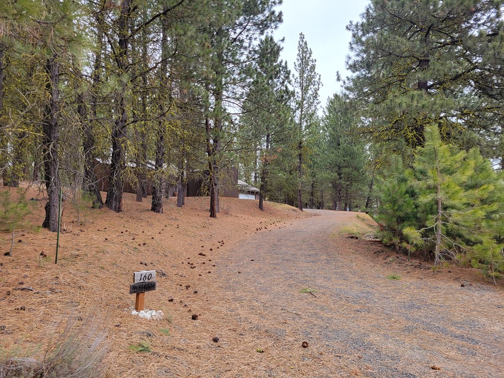 160 Pine Valley Drive Cascade, ID 83611 - Photo 8 of 43 Driveway