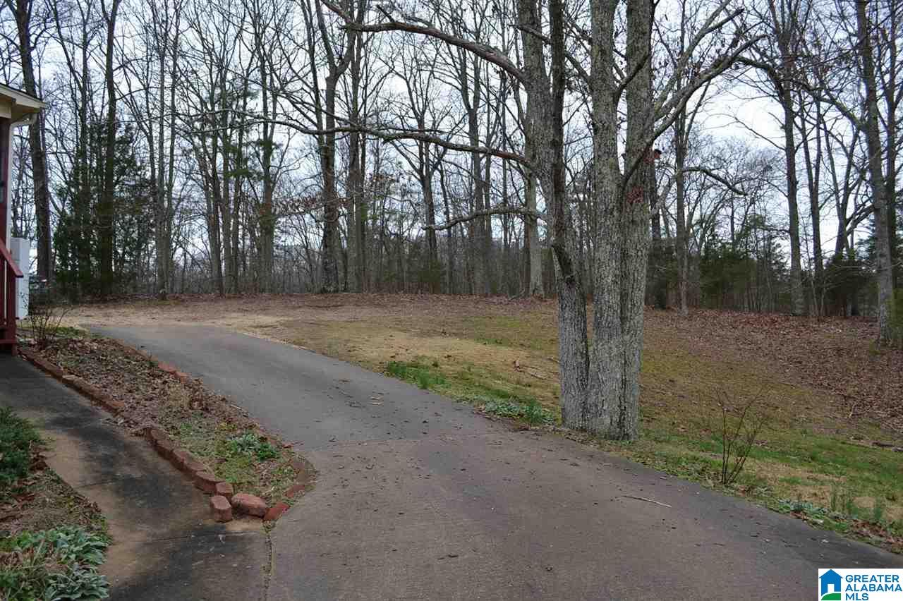 3992 Red Valley Road Remlap, AL 35133 - Photo 29 of 43