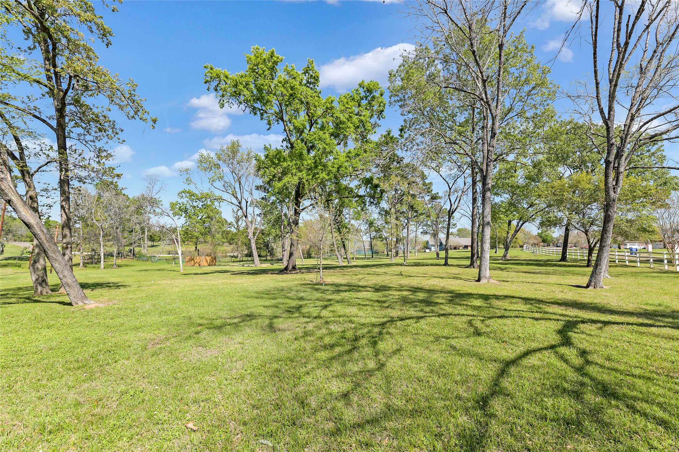 367 Fawn Road Livingston, TX 77351 - Photo 4 of 50