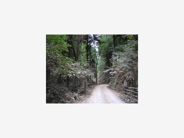 2706 Hermit Ranch Road Ben Lomond, CA 95005 - Photo 1 of 1 Gallery Image 1
