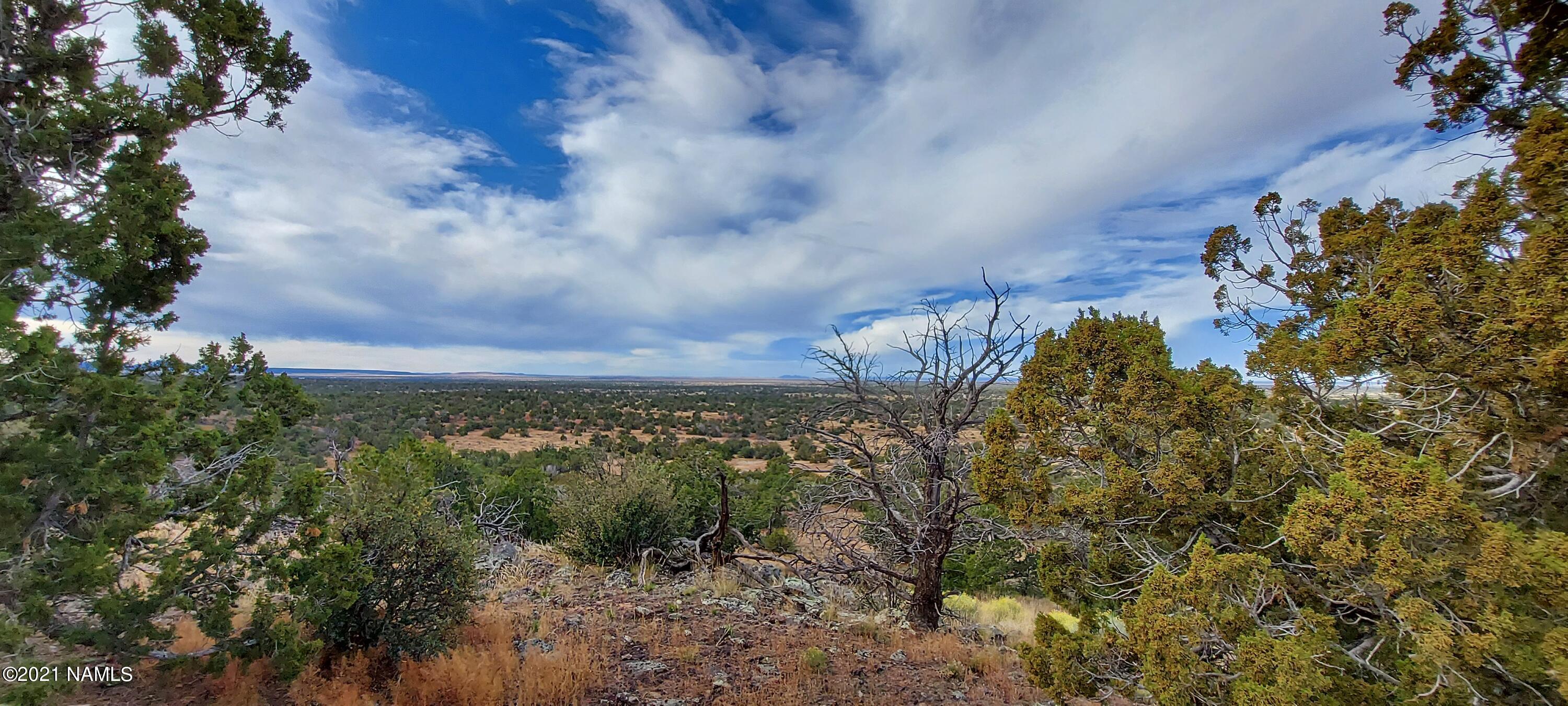 6707 North S Rim Ranch Road, Unit 255 Williams, AZ 86046 - Photo 26 of 63 20211102_100106