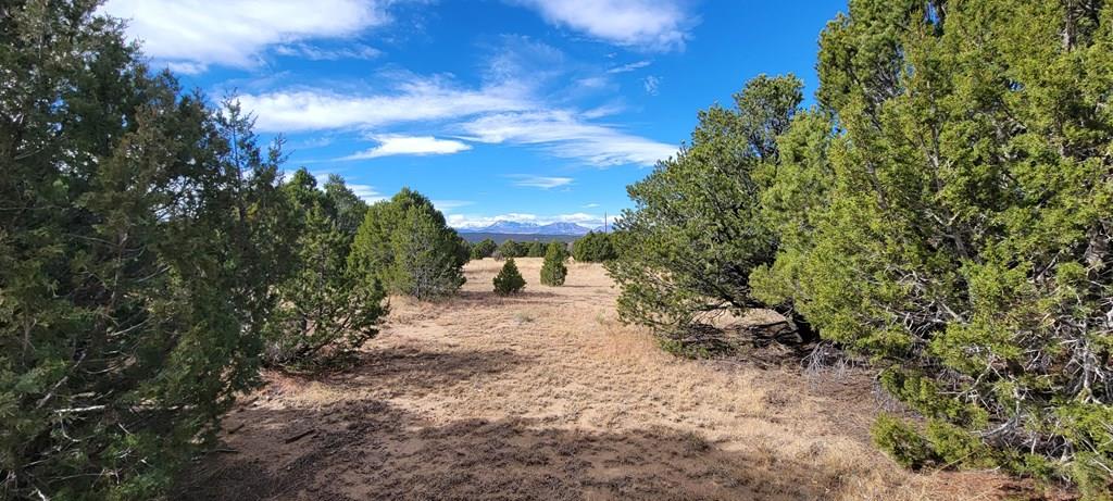 Lot 34 Silver Spur Road Walsenburg, CO 81089 - Photo 23 of 43