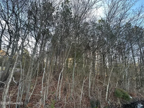 $8,000 | Tbd Pine Street, Conway, NC 27820