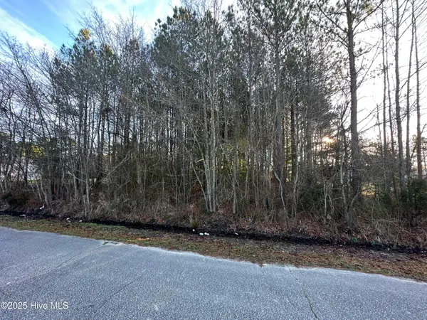 $8,000 | Tbd Pine Street, Conway, NC 27820
