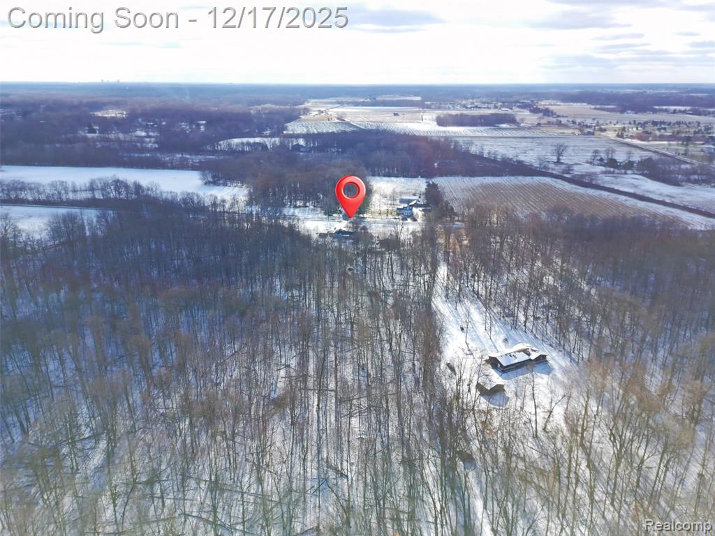 4870 Samaria Road Temperance, MI 48182 - Photo 30 of 37