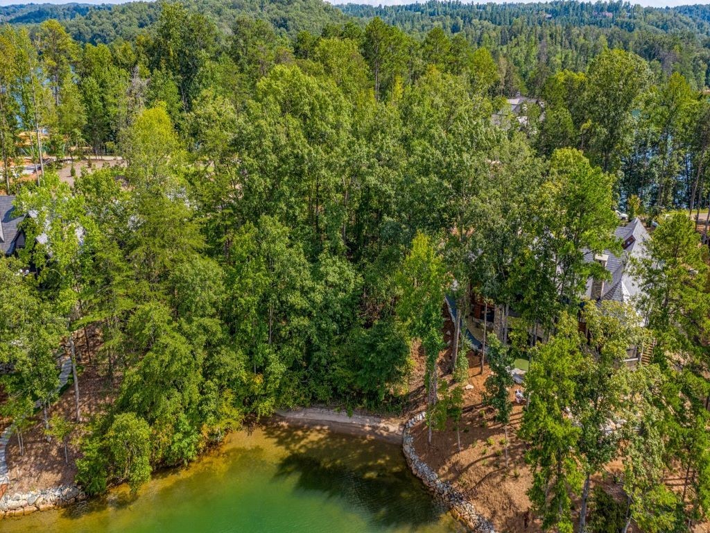 410 Peninsula Ridge Sunset, SC 29685 - Photo 5 of 10 Gallery Image 5
