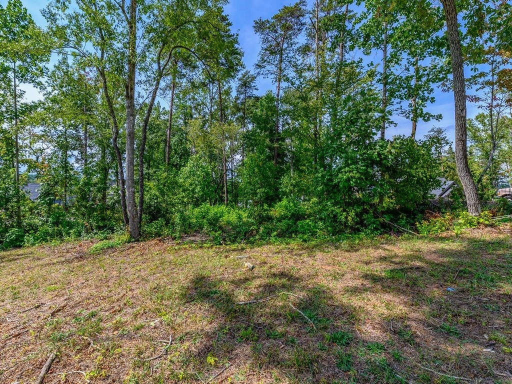 410 Peninsula Ridge Sunset, SC 29685 - Photo 8 of 10 Gallery Image 8