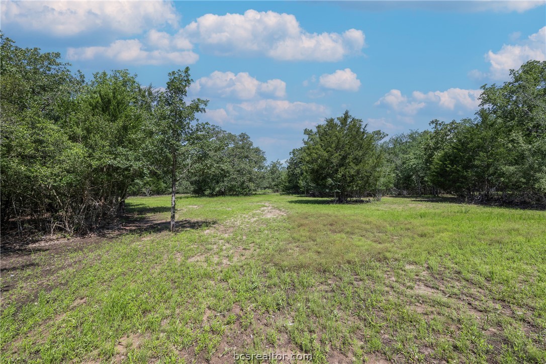 7132 Serenity Ranch Road Somerville, TX 77879 - Photo 16 of 27