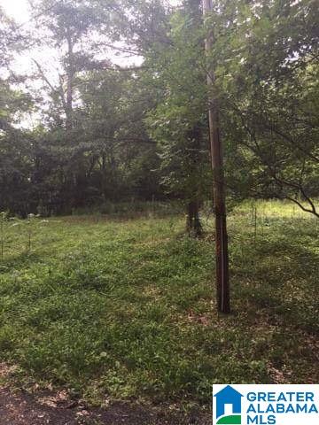 0 Old Road, Unit 4 AND 5 Scottsboro, AL 35769 - Photo 2 of 6