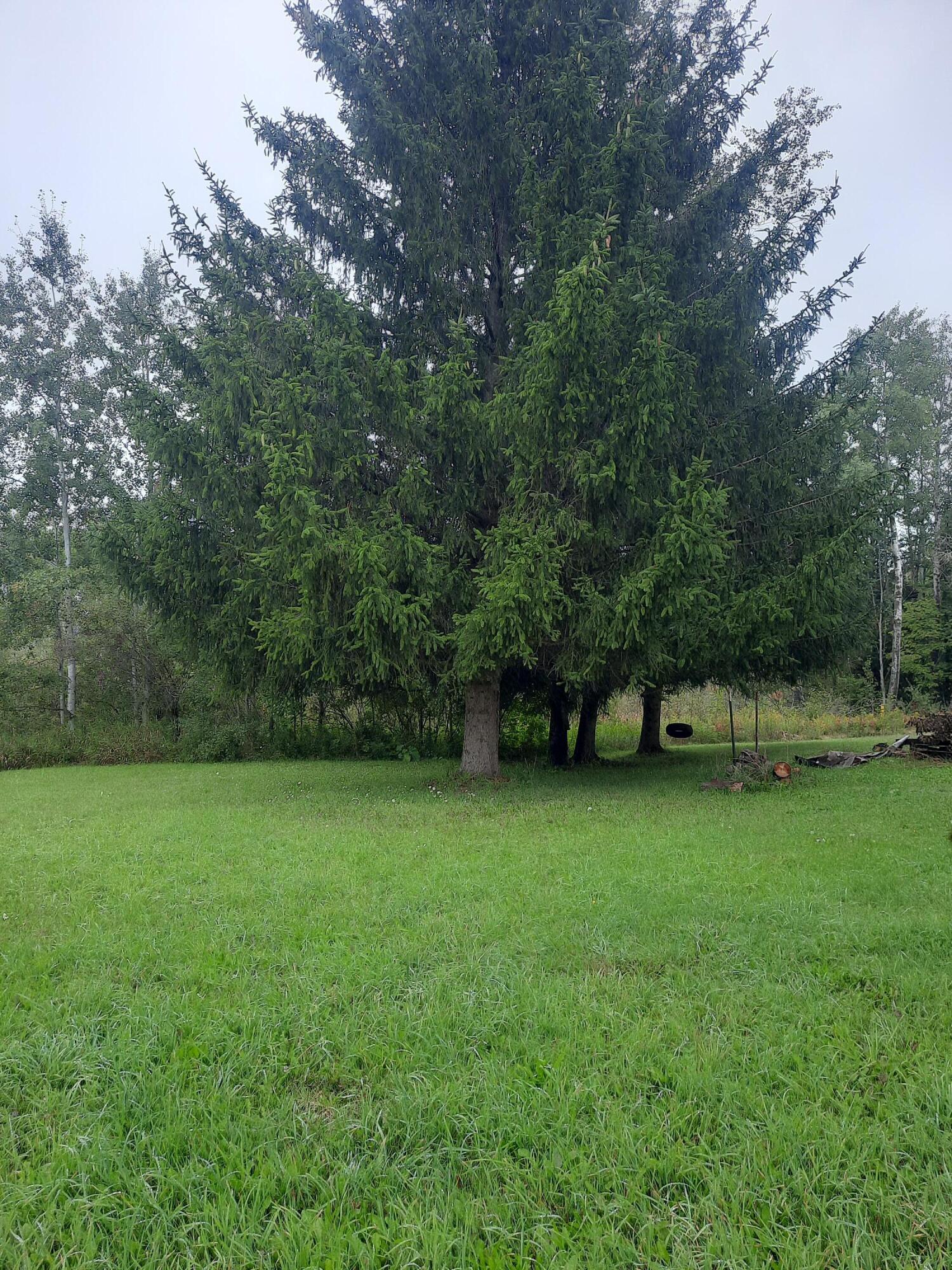 6053 South Lakola Road Reed City, MI 49677 - Photo 32 of 55 20220925_142155
