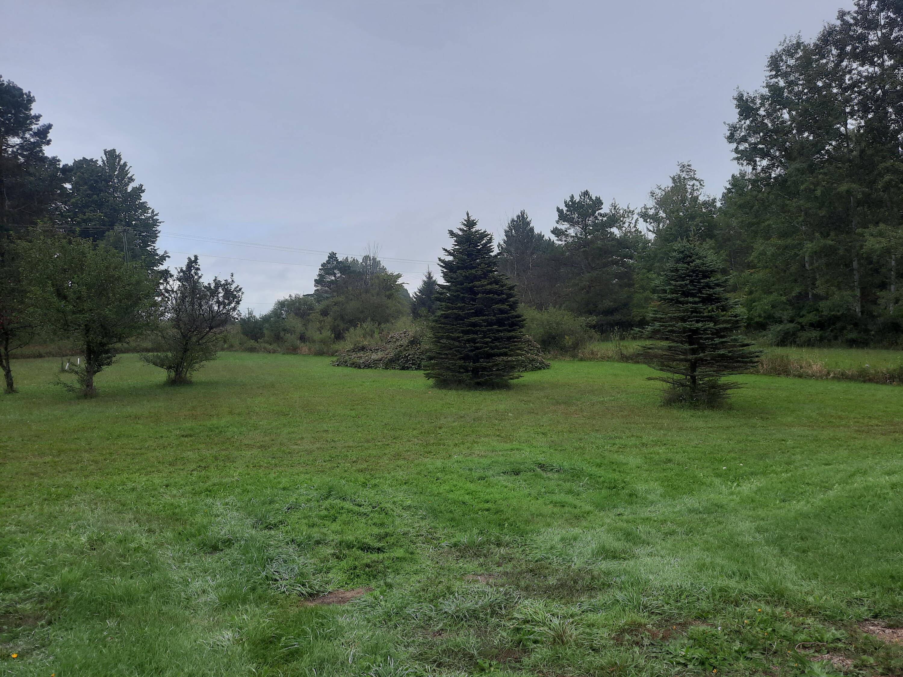 6053 South Lakola Road Reed City, MI 49677 - Photo 33 of 55 20220925_142307