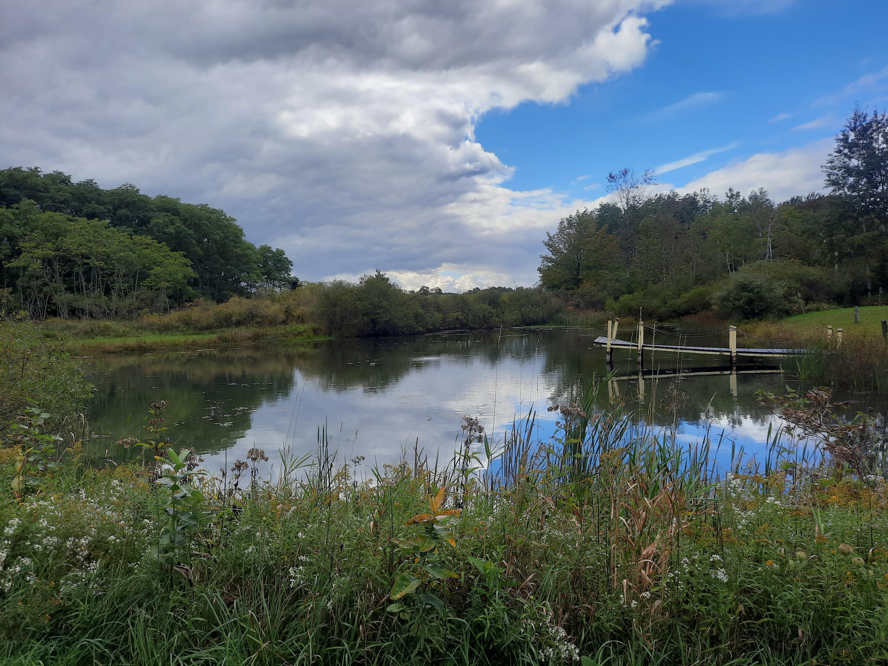 6053 South Lakola Road Reed City, MI 49677 - Photo 50 of 55 20220925_145459