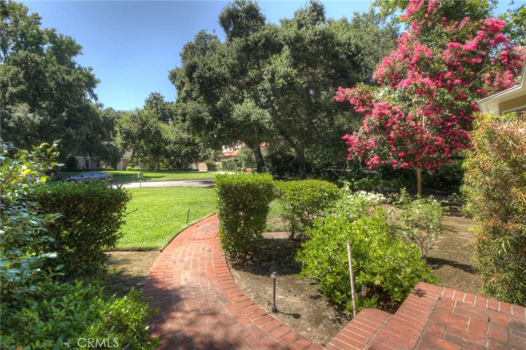 1300 Ramona Road Arcadia, CA 91006 - Photo 7 of 38 a view of a garden with plants and large trees