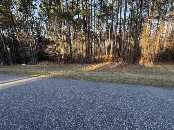 $85,000 | 0 Lighthouse Pointe Point, Lincolnton, GA 30817