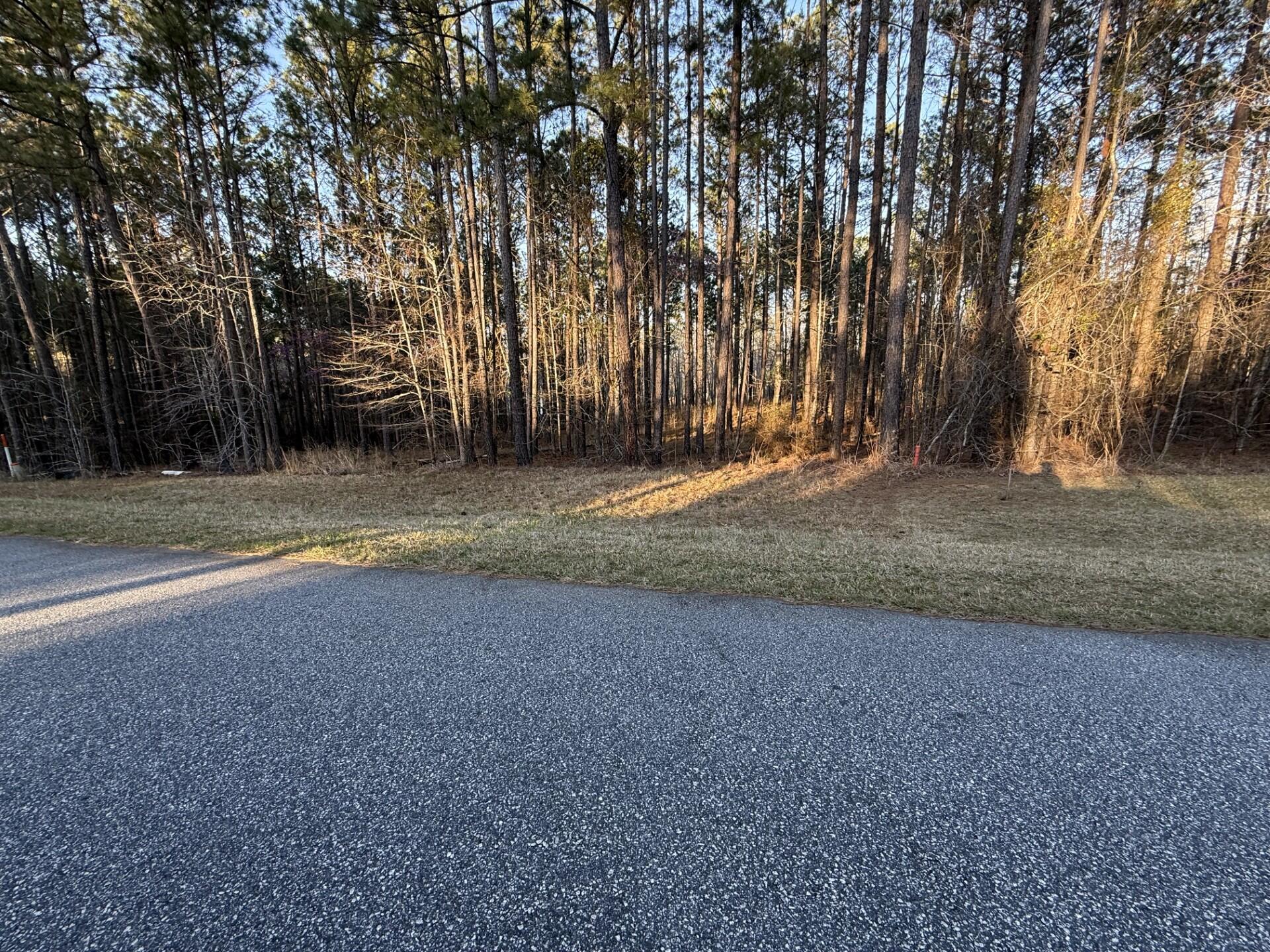 Road View