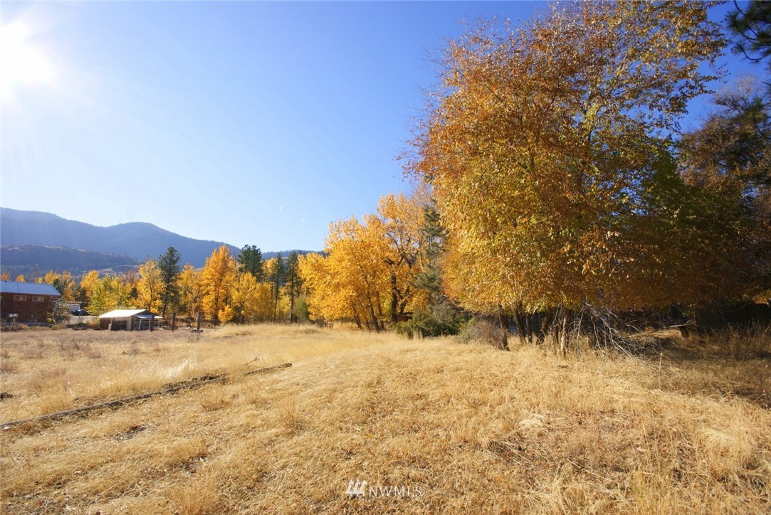 1327 Riverside Avenue Twisp, WA 98856 - Photo 17 of 24 Gallery Image 17