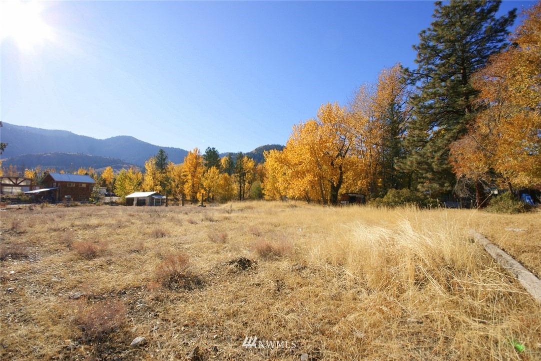 1327 Riverside Avenue Twisp, WA 98856 - Photo 19 of 24 Gallery Image 19