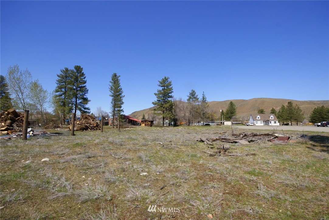 1327 Riverside Avenue Twisp, WA 98856 - Photo 10 of 24 Gallery Image 10