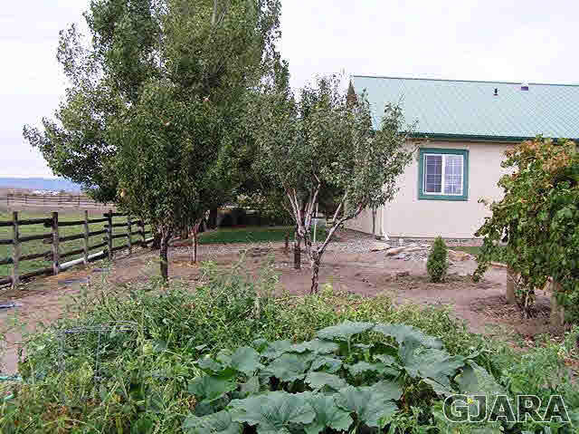 675 S Road Mack, CO 81525 - Photo 18 of 27 a view of a backyard with potted plants and large trees
