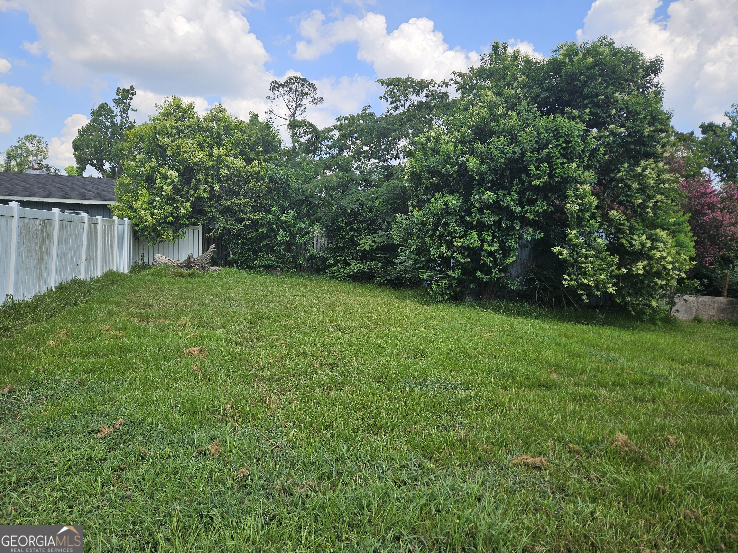 57 Pine Street Hazlehurst, GA 31539 - Photo 8 of 18 BACK YARD