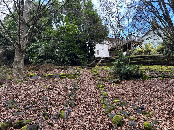 a view of a tree with a yard
