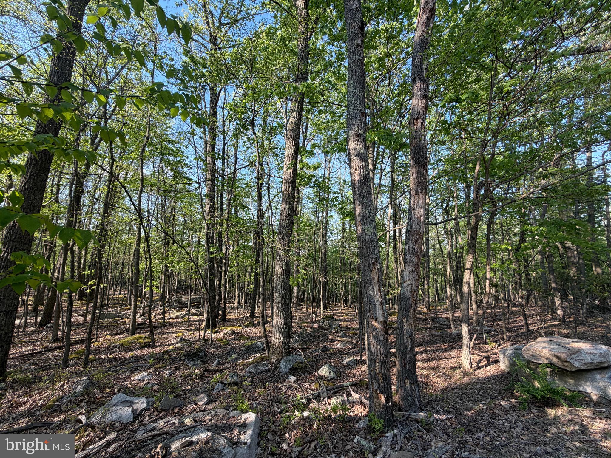 136 Spring Mountain Drive Zion Grove, PA 17985 - Photo 1 of 20