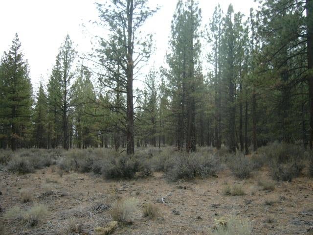 4.29 Acres Antelope Road Macdoel, CA 96058 - Photo 5 of 14 Gallery Image 5