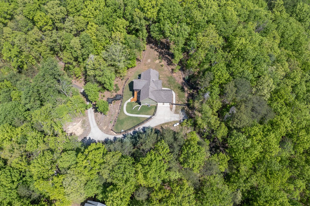 475 Tater Tot Road Jasper, GA 30143 - Photo 72 of 80