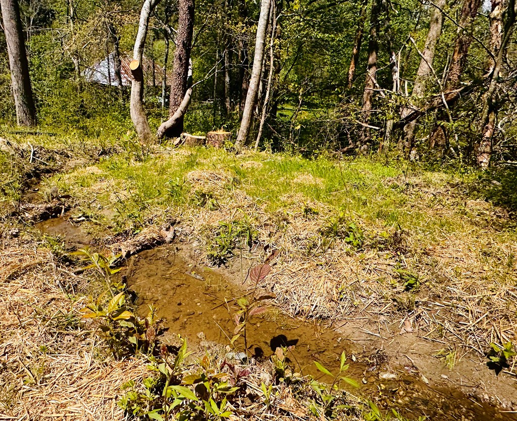 2960 Trackrock Church Road Blairsville, GA 30512 - Photo 26 of 52