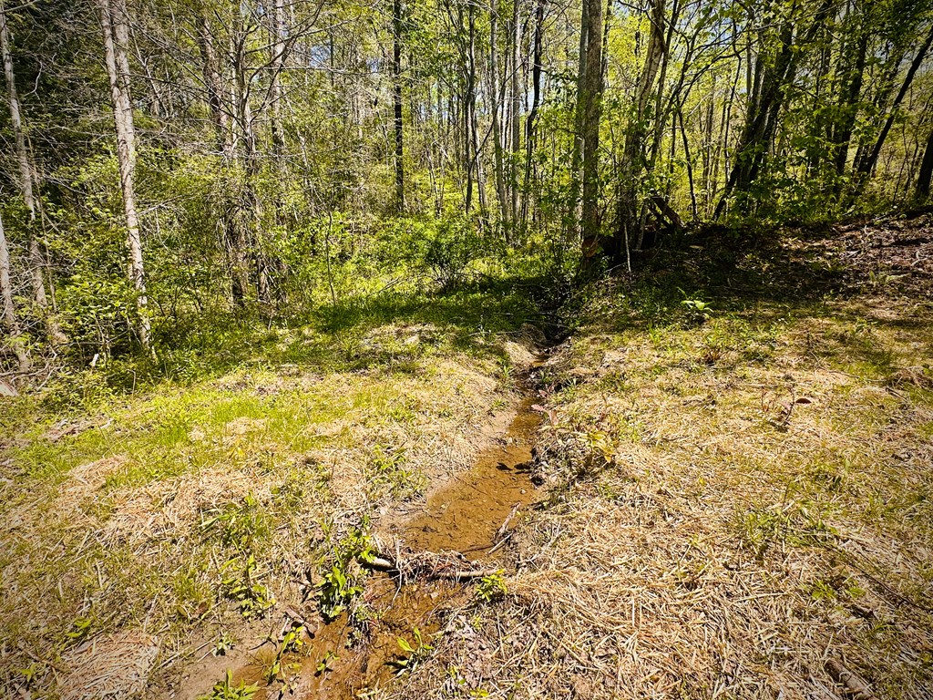 2960 Trackrock Church Road Blairsville, GA 30512 - Photo 27 of 52